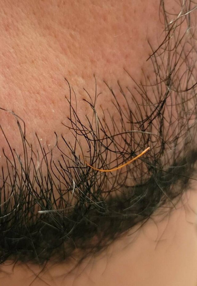 Interesting Finds (36 pics)