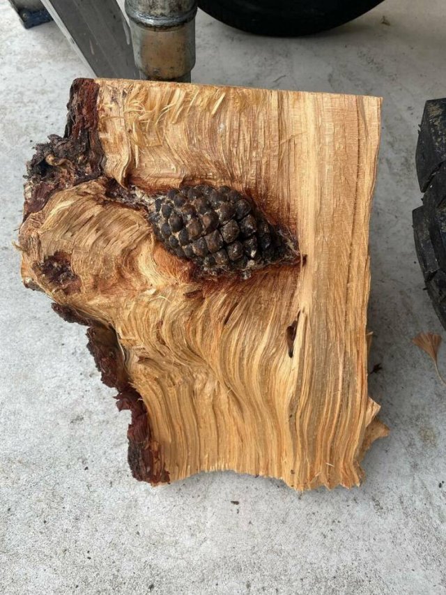 Interesting Finds (36 pics) Interesting Finds (36 pics)