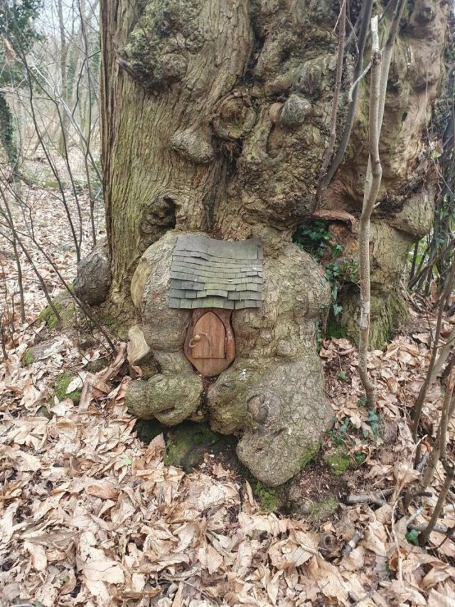 Interesting Finds (36 pics) Interesting Finds (36 pics)