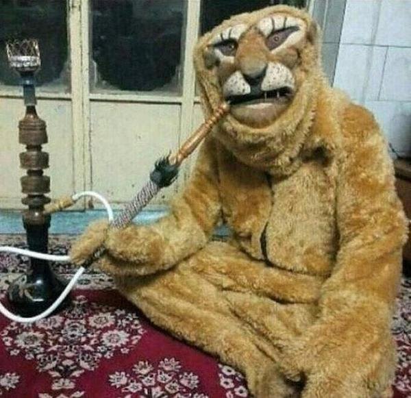Strange Finds And Situations (32 pics)