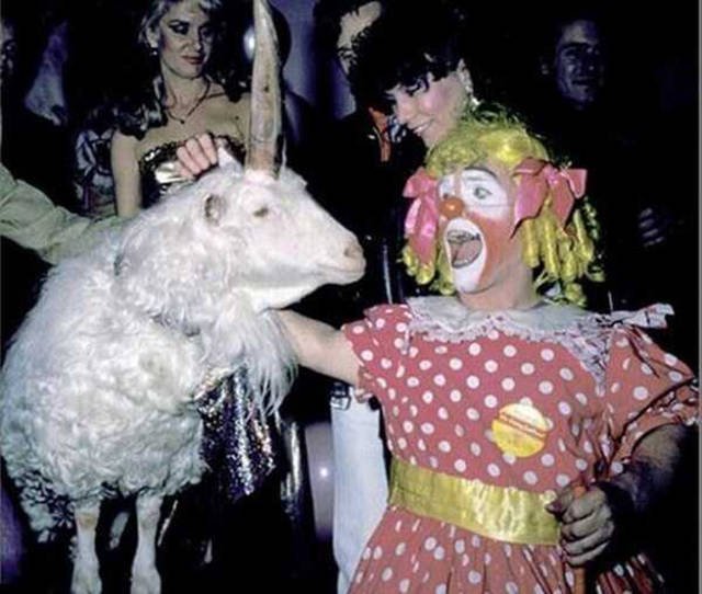What Is Going On Here? (45 pics)