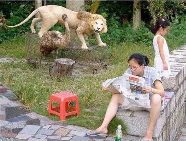 What Is Going On Here? (45 pics)