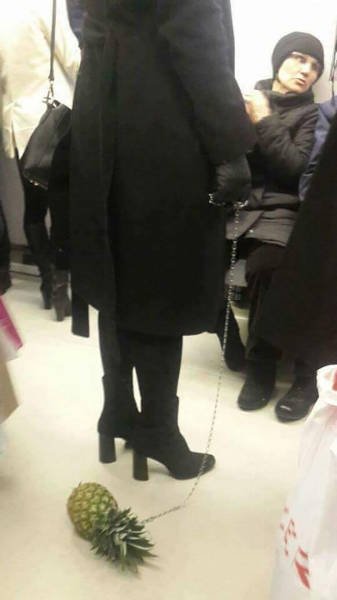 What Is Going On Here? (45 pics)