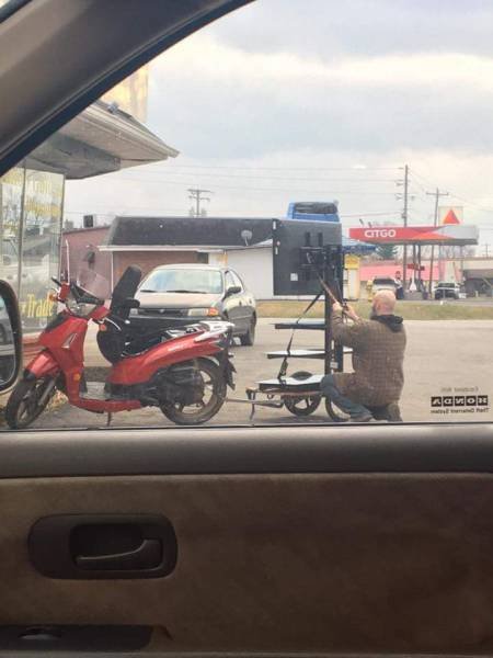 What Is Going On Here? (45 pics)