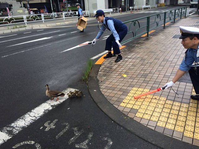 Unusual Photos From Japan (40 pics)