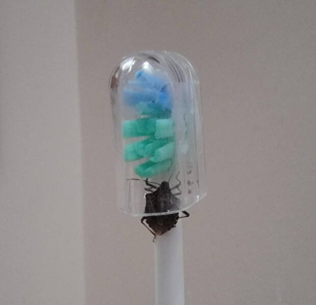 Bad Days Happen (37 pics)