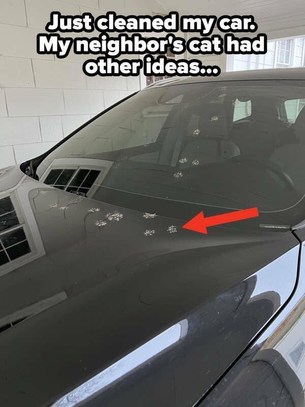 Bad Days Happen (37 pics)