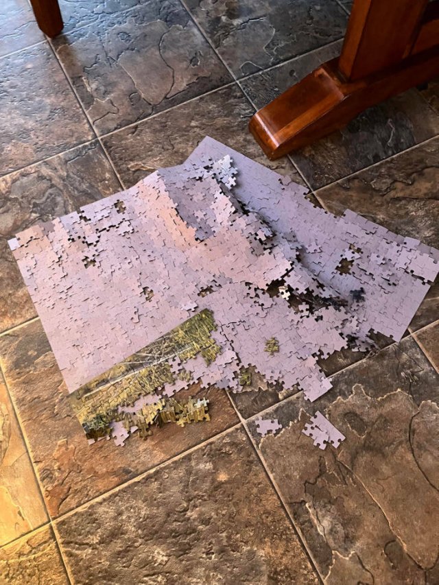 Bad Days Happen (37 pics)