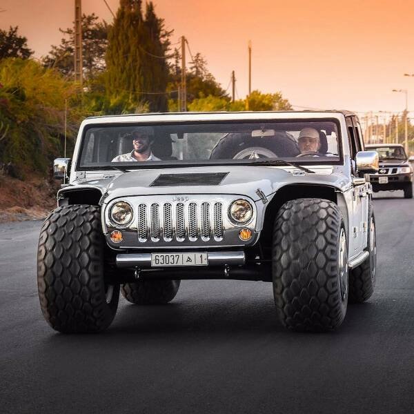Collection Of Unusual Cars Of The Arab Sheikh Hamad bin Hamdan (30 pics)