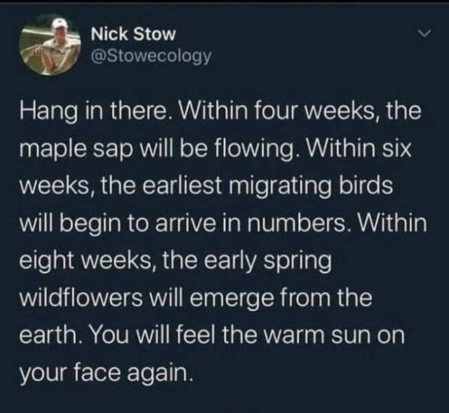 Memes About Mental Health (48 pics)