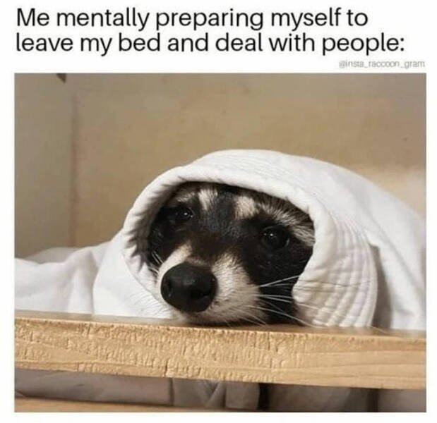Memes About Mental Health (48 pics)