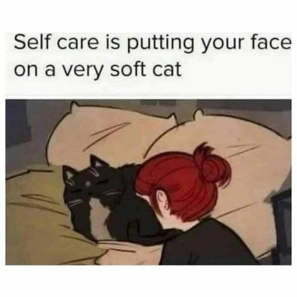 Memes About Mental Health (48 pics)