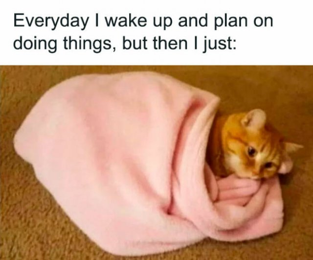 Memes About Mental Health (48 pics)