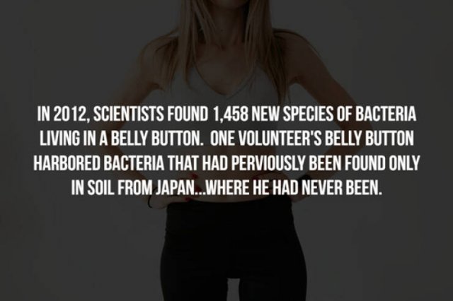 Creepy Facts (33 pics)