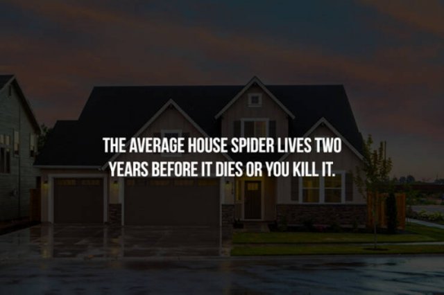 Creepy Facts (33 pics)