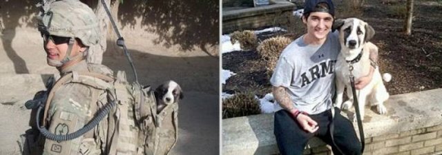 Animals Grow Very Fast (54 pics)