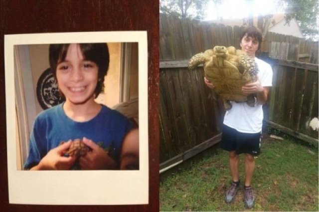 Animals Grow Very Fast (54 pics)