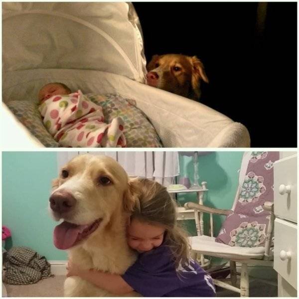 Animals Grow Very Fast (54 pics)