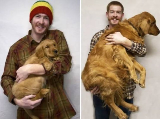 Animals Grow Very Fast (54 pics)