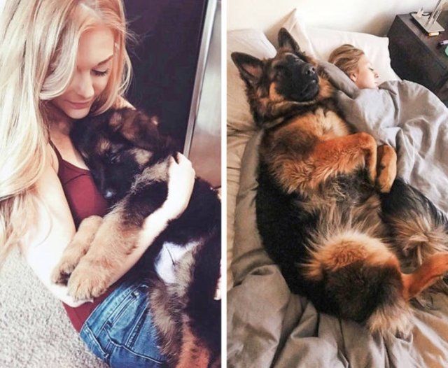 Animals Grow Very Fast (54 pics)