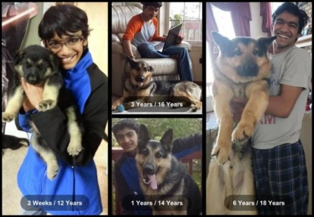 Animals Grow Very Fast (54 pics)