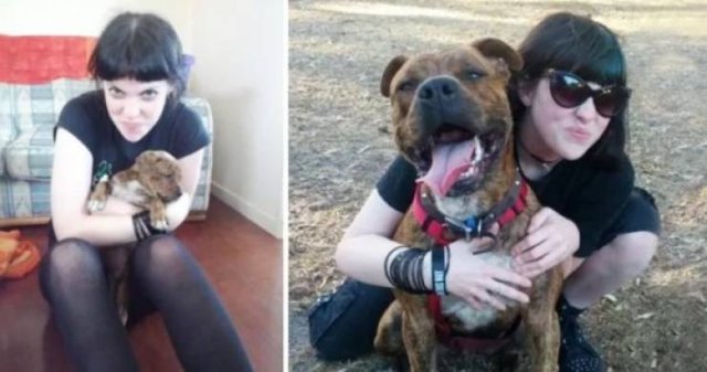 Animals Grow Very Fast (54 pics)
