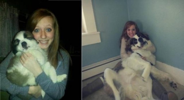 Animals Grow Very Fast (54 pics)