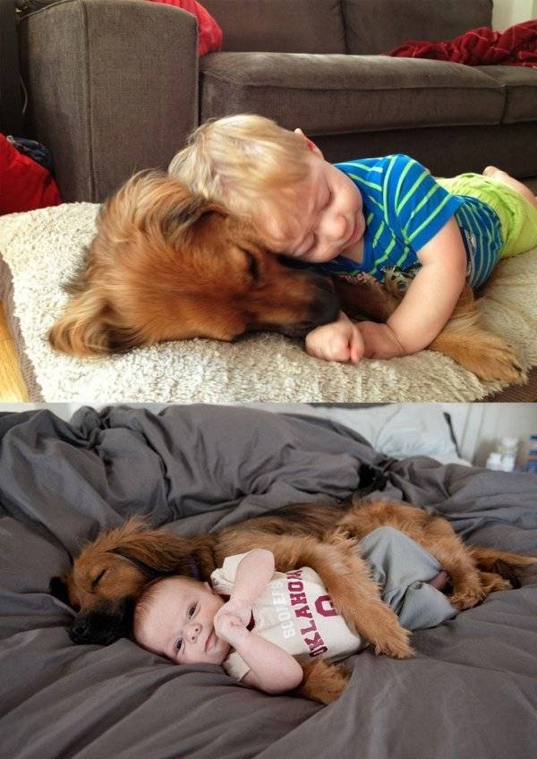 Animals Grow Very Fast (54 pics)