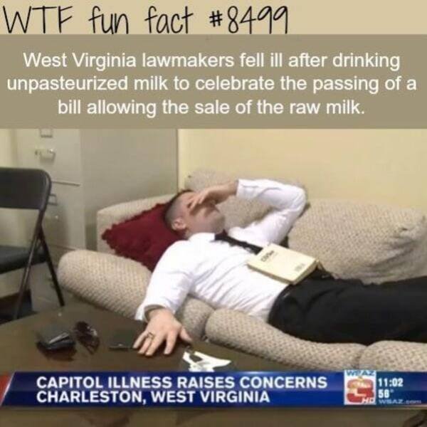 Instant Karma (18 pics)