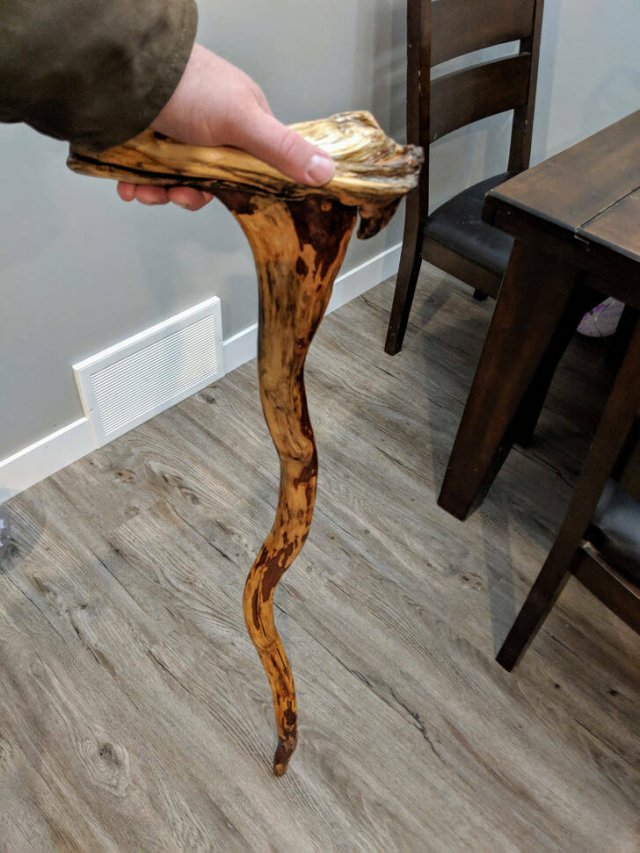 Amazing Finds (16 pics)
