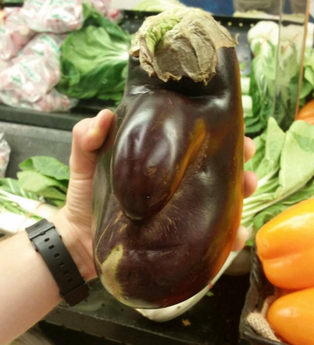 Amazing Finds (16 pics)