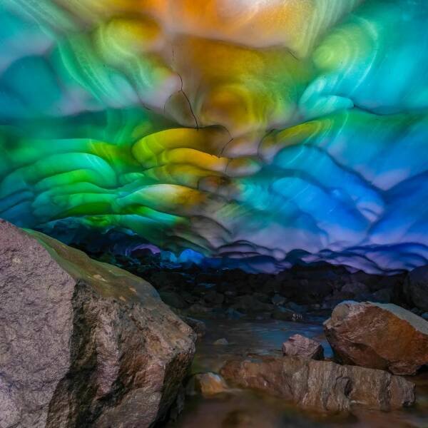 Amazing Finds (16 pics)