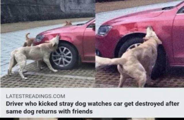 Instant Karma (18 pics)