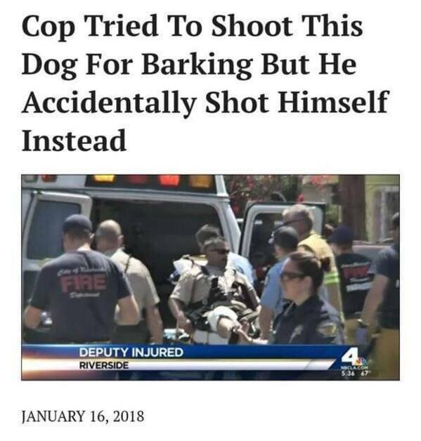 Instant Karma (18 pics)