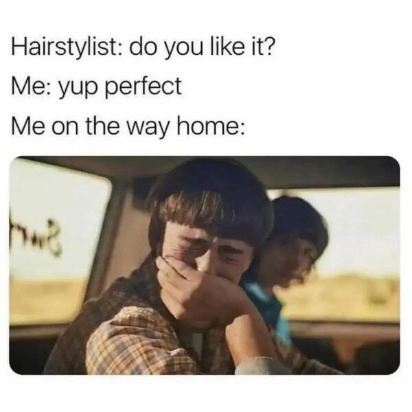 Memes For Introverts (33 pics)