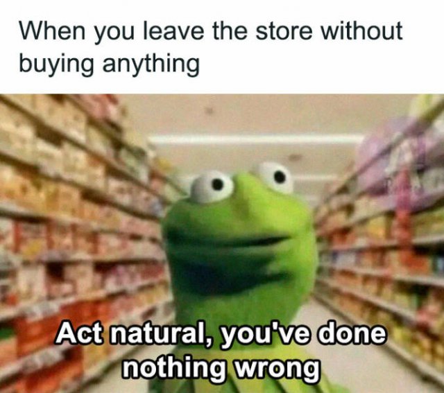 Memes For Introverts (33 pics)