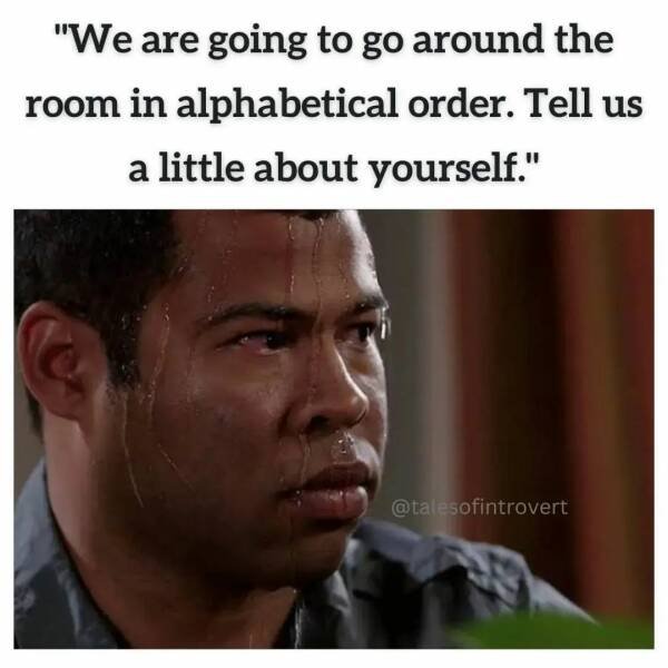 Memes For Introverts (33 pics)