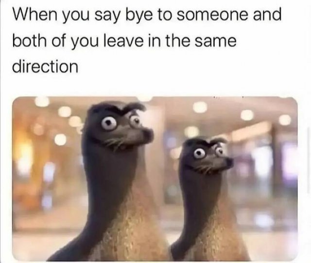 Memes For Introverts (33 pics)