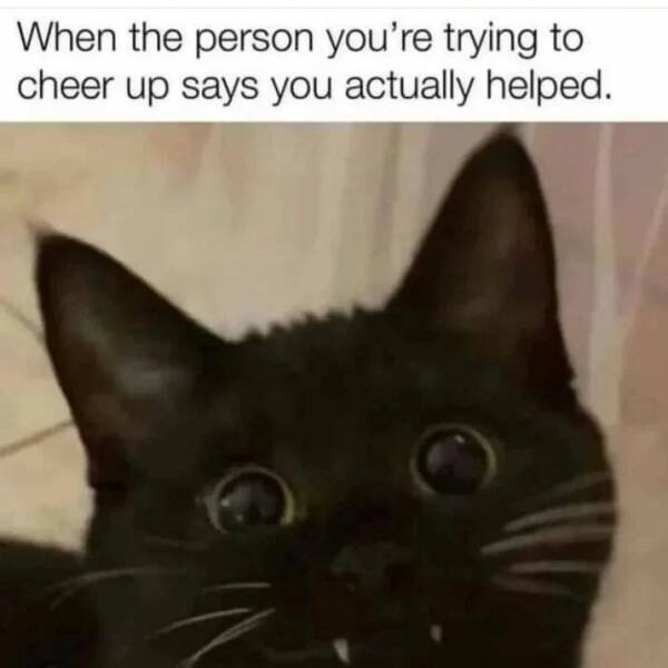 Memes For Introverts (33 pics)
