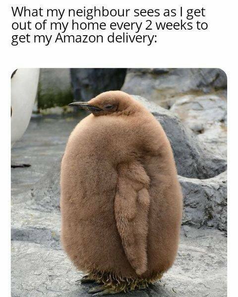 Memes For Introverts (33 pics)
