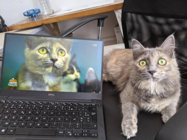 Unusual Finds (17 pics)