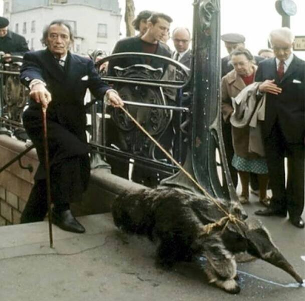 Interesting Historical Photos (35 pics)