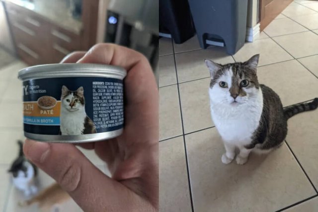 Unusual Finds (17 pics)