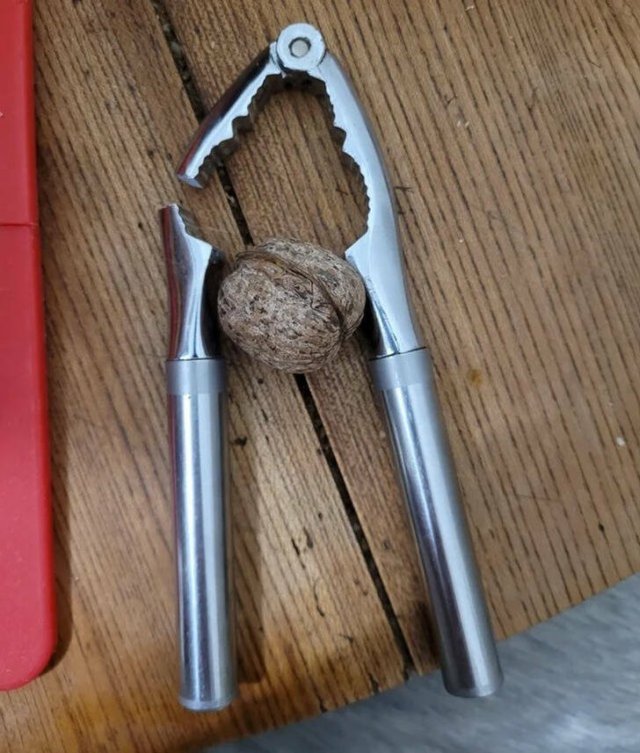 Unusual Finds (17 pics)