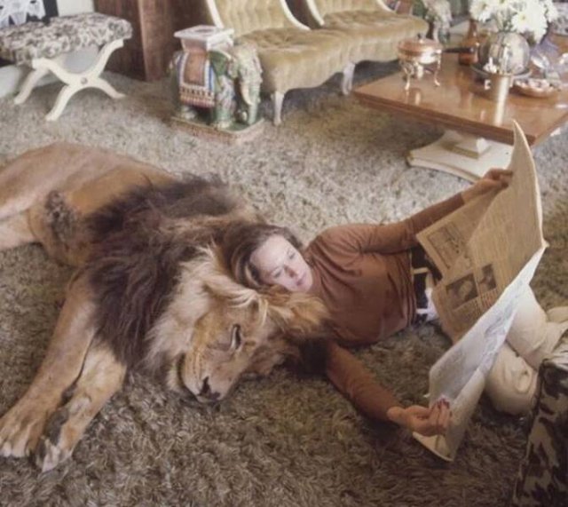 Interesting Historical Photos (35 pics)