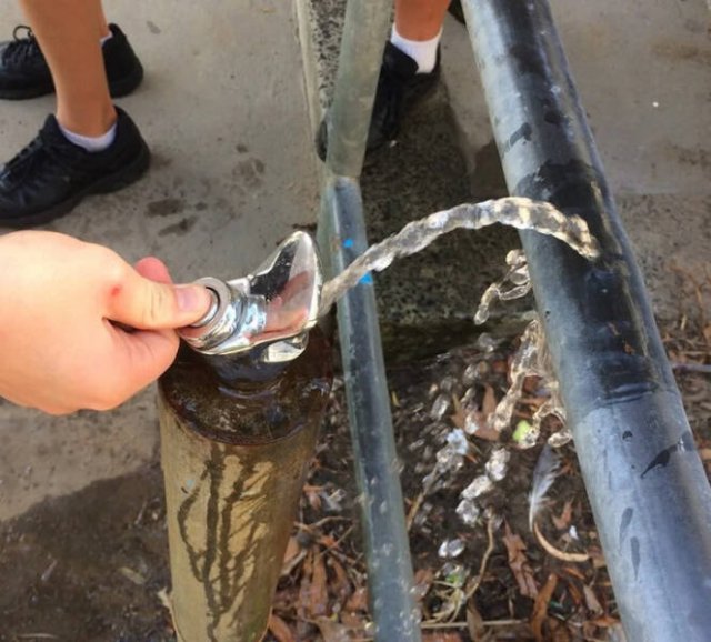 Unusual Finds (17 pics)