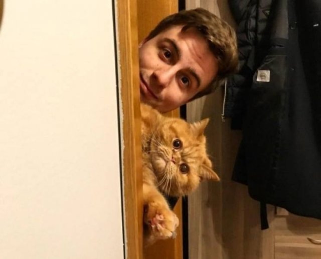 Funny Animals (61 pics)