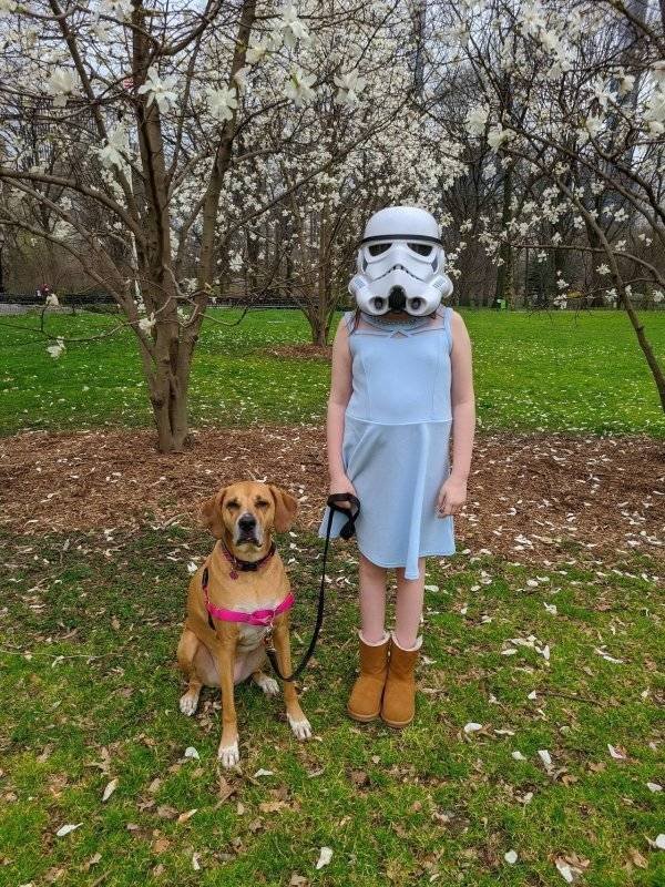 Funny Animals (61 pics)
