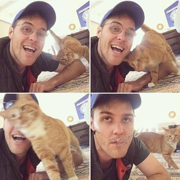 Funny Animals (61 pics)