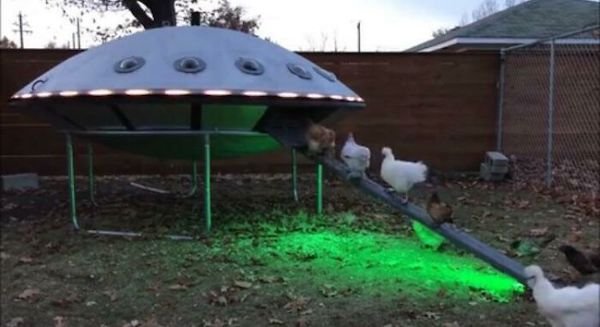 Cool Designs (30 pics)